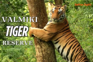 Valmiki Tiger Reserve
