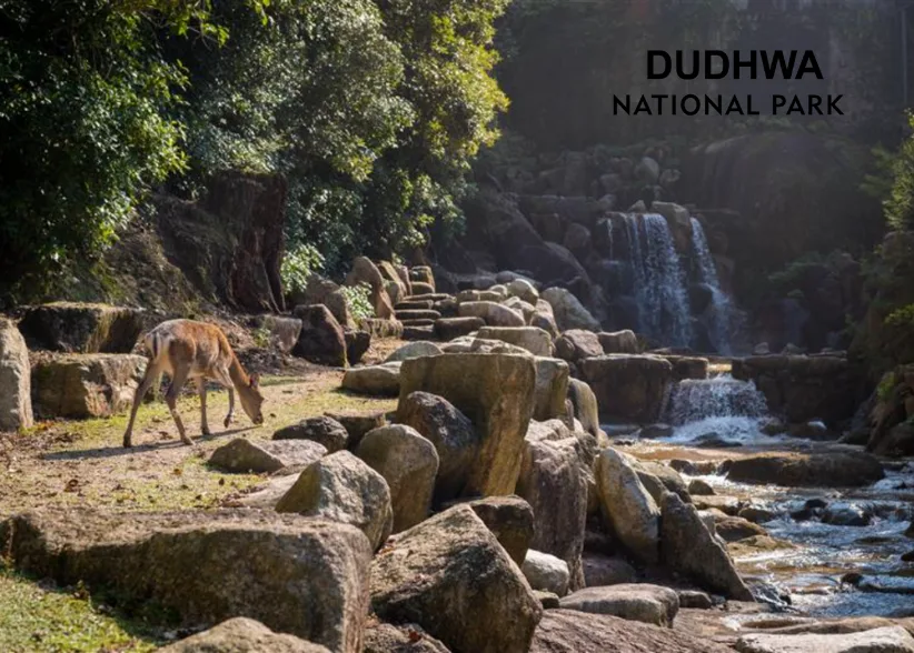 Dudhwa National Park