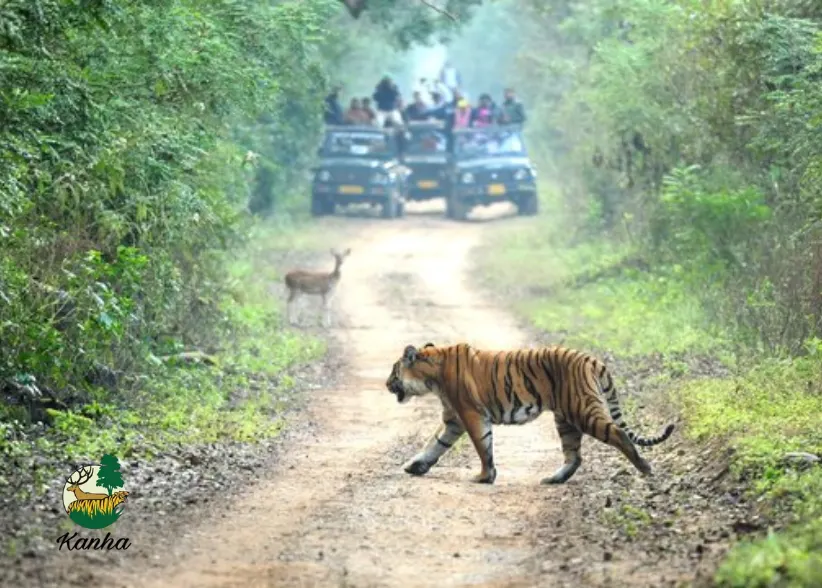 Kanha Tiger Reserve